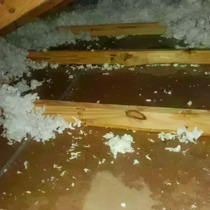 Attic Water Damage in Nicholas County, KY